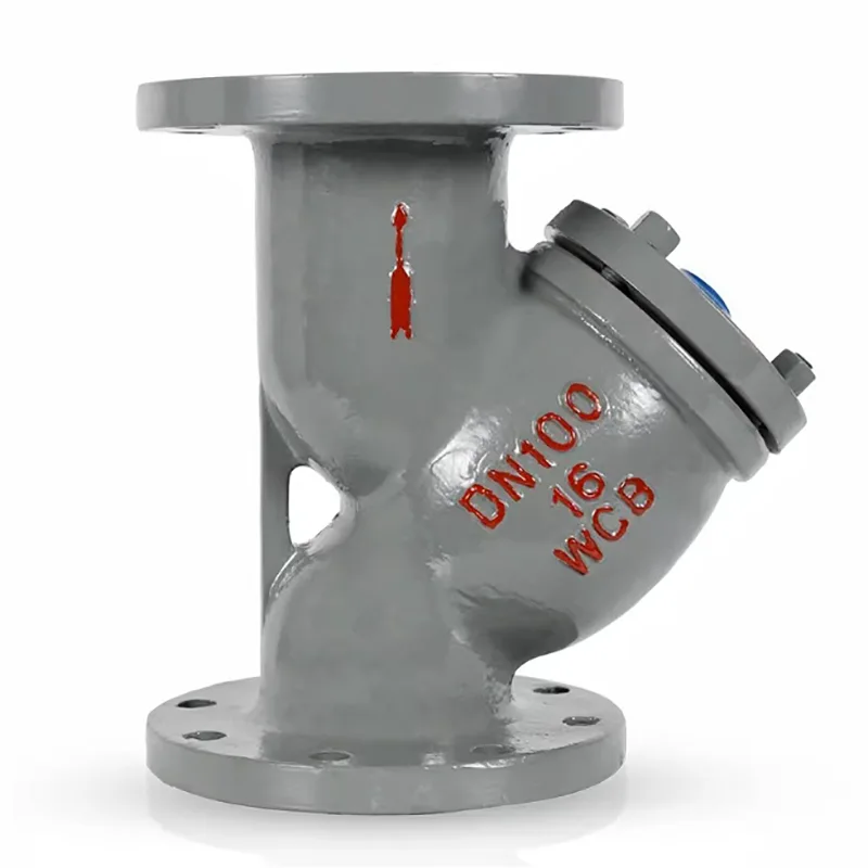 कार्बन स्टील Flanged Y-प्रकार फिल्टर